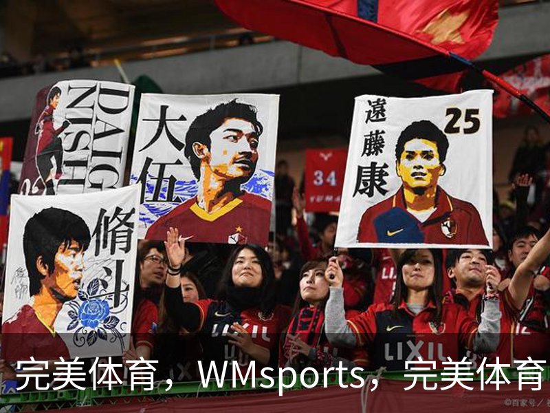 完美体育，WMsports，完美体育官方，完美体育平台，完美体育下载简介